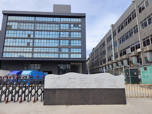 小家電 出海 記 打造產品力 揚帆拓市場